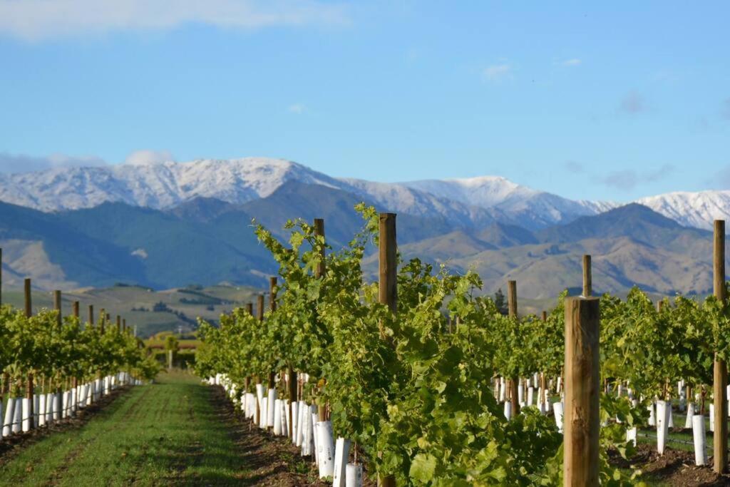 Ddog Vineyard & Bnb Renwick ภายนอก รูปภาพ
